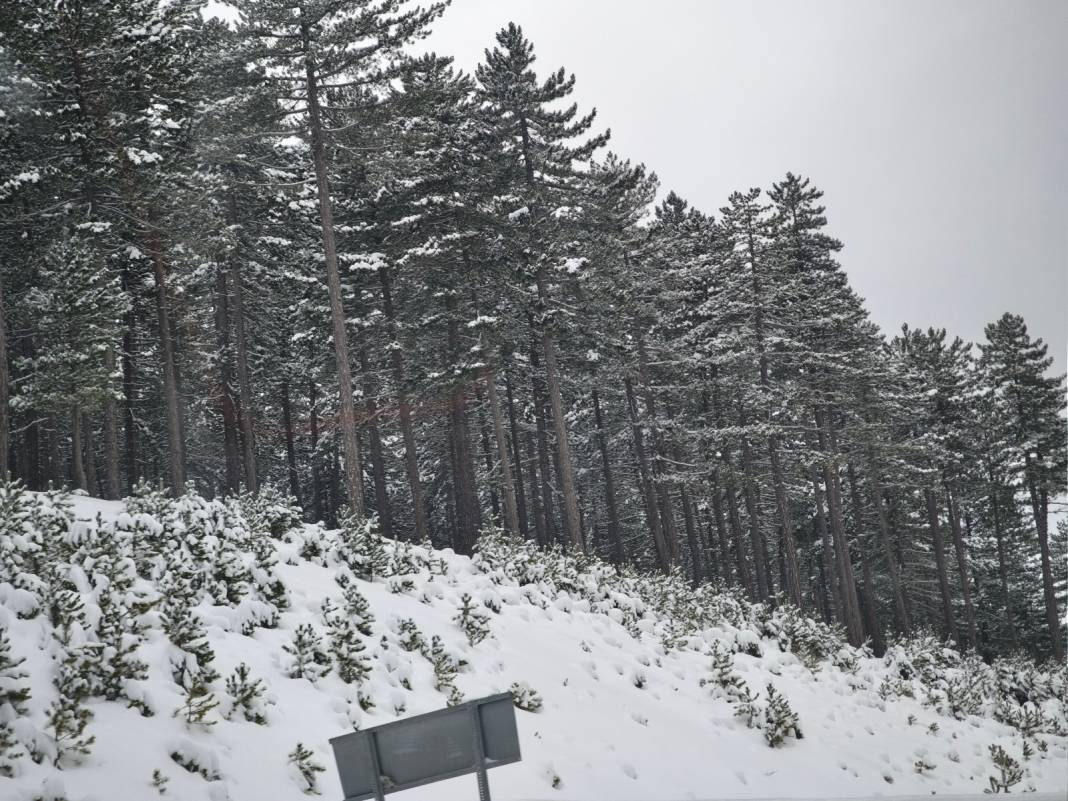 Konya’nın kar altındaki yaylası bir masal diyarına dönüştü 1